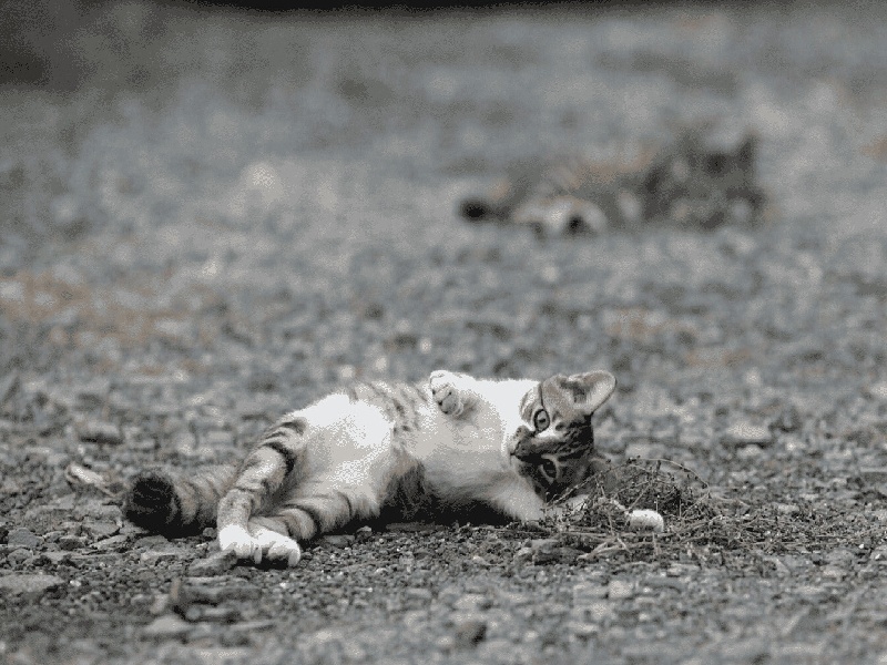 护士做试管失败做试管能吃蛇吗湖北做试管婴儿费用TO正面黄浦试管